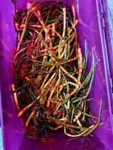 하나라도 소중하게님의 자유주제·자유게시판 작성글 사진