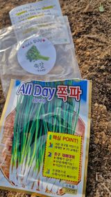 팜모닝 자유주제·자유게시판 게시글 이미지