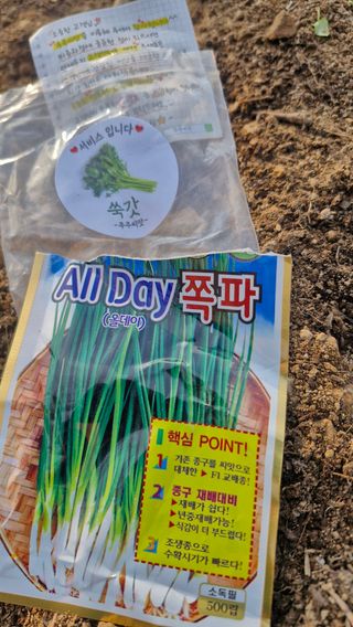 정석구님의 자유주제 · 자유게시판 작성글 사진