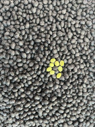 강원도농산물님의 작성글 사진