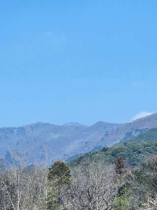 제주부자팜님의 자유주제 · 자유게시판 작성글 사진