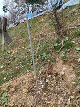 이정식님의 자유주제·자유게시판 작성글 사진