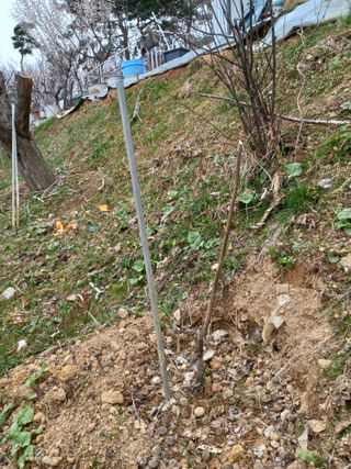 이정식님의 자유주제 · 자유게시판 작성글 사진