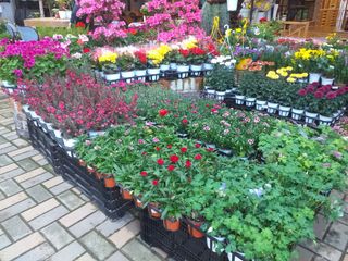 박웅님의 자유주제 · 자유게시판 작성글 사진