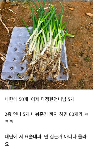 삼성농산님의 자유주제 · 자유게시판 작성글 사진