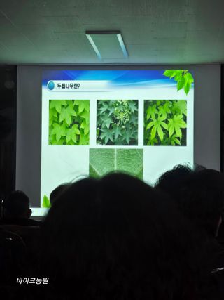 팜모닝회원 바이크농원님의 자유주제 · 자유게시판 작성글 사진