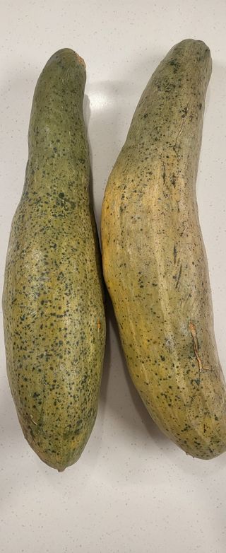 최금규님의 자유주제 · 자유게시판 작성글 사진