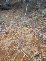 이정식님의 자유주제·자유게시판 작성글 사진