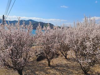 윤형곤님의 자유주제 · 자유게시판 작성글 사진