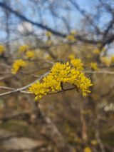 팜모닝 자유주제·자유게시판 게시글 이미지