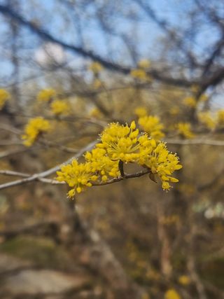 제주부자팜님의 자유주제 · 자유게시판 작성글 사진