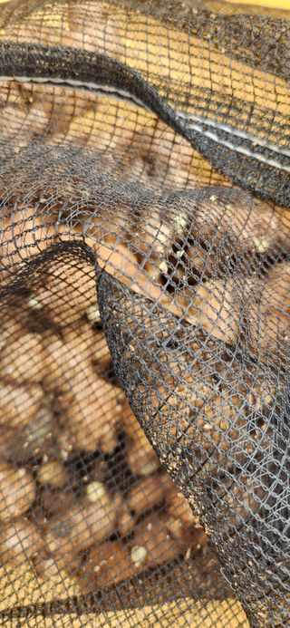 임원식님의 자유주제 · 자유게시판 작성글 사진