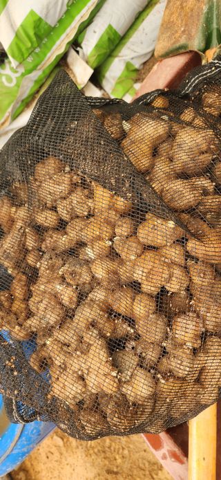 임원식님의 자유주제 · 자유게시판 작성글 사진