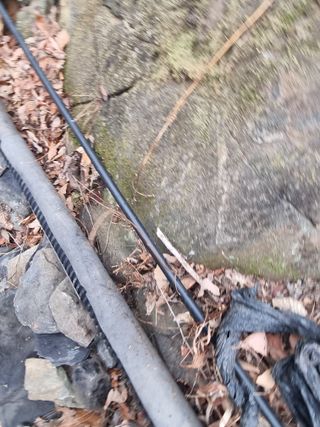 김용대님의 자유주제 · 자유게시판 작성글 사진