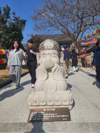 제주부자팜님의 자유주제 · 자유게시판 작성글 사진