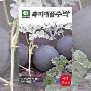 대산농사대장님의 기타작물 · 자유게시판 작성글 사진