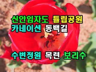 꿈꾸는텃밭님의 자유주제 · 자유게시판 작성글 사진