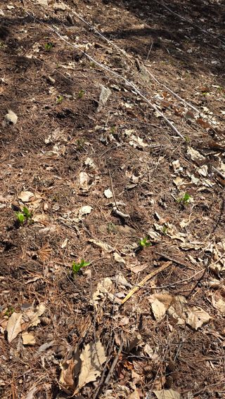구명회님의 자유주제 · 자유게시판 작성글 사진