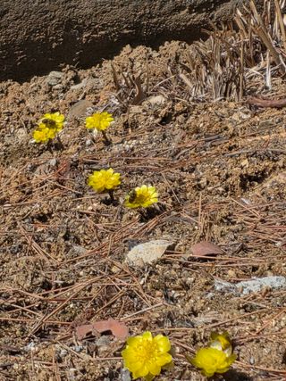 윤미선(농경채인증님의 자유주제 · 자유게시판 작성글 사진