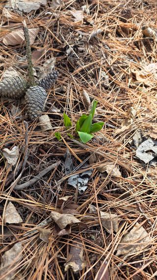 구명회님의 자유주제 · 자유게시판 작성글 사진