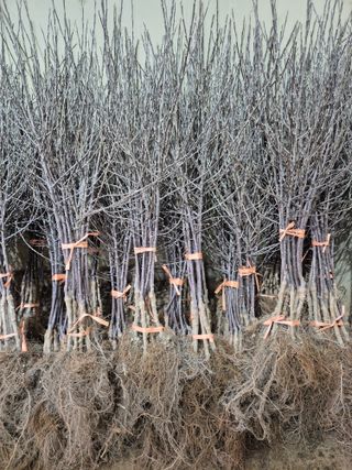 우리농원님의 자유주제 · 자유게시판 작성글 사진