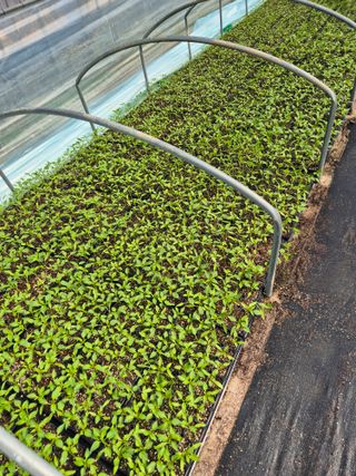 김영진(전남영광)님의 자유주제 · 자유게시판 작성글 사진