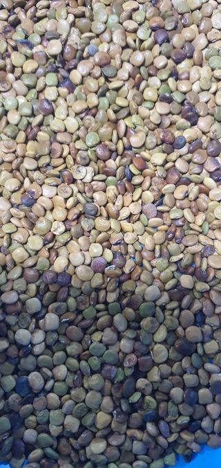 김철현님의 작성글 사진