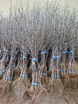 우리농원님의 자유주제·자유게시판 작성글 사진