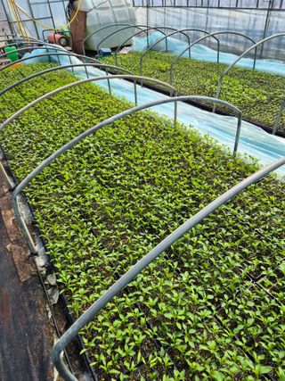 김영진(전남영광)님의 자유주제 · 자유게시판 작성글 사진