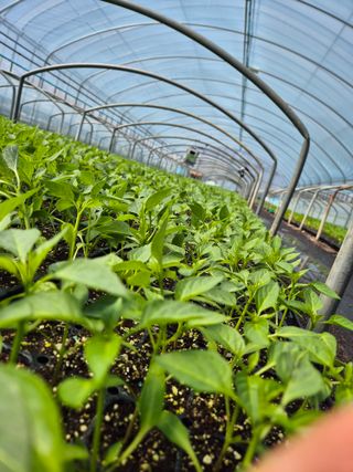 김영진(전남영광)님의 자유주제 · 자유게시판 작성글 사진