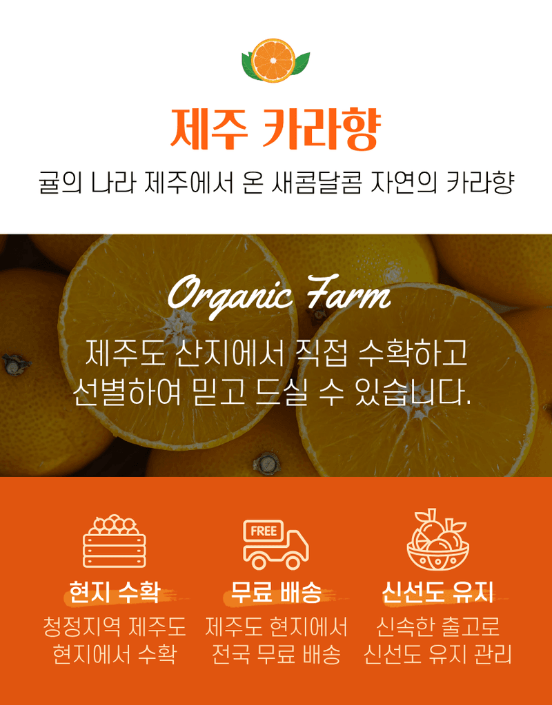 과일팩토리님의 장터 판매 상품 [제주 프리미엄 상큼달콤 카라향 랜덤과/중소과/중과/대과/특대과 2/3/5/10KG ] 첨부 사진