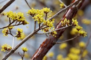 MSG0074님의 자유주제 · 자유게시판 작성글 사진