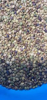 팜모닝 · 게시글 이미지