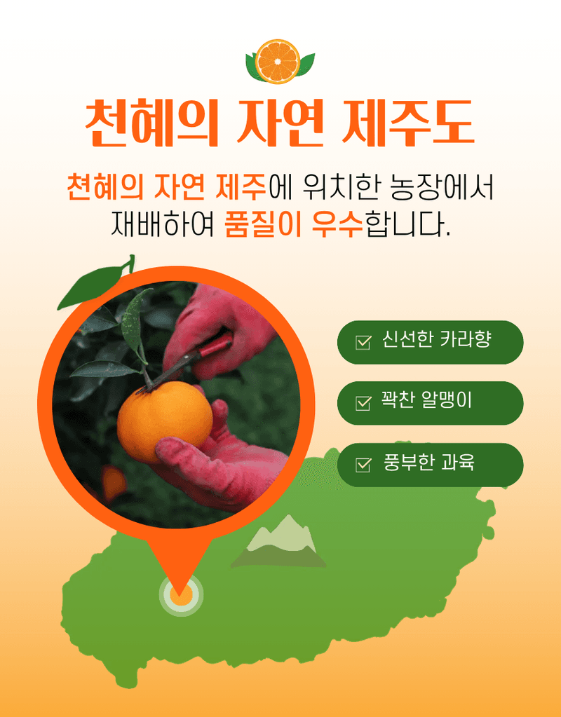 과일팩토리님의 장터 판매 상품 [제주 프리미엄 상큼달콤 카라향 랜덤과/중소과/중과/대과/특대과 2/3/5/10KG ] 첨부 사진