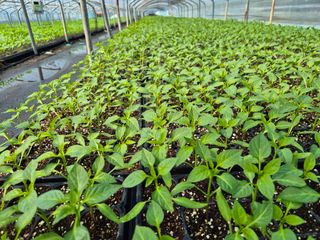 김영진(전남영광)님의 자유주제 · 자유게시판 작성글 사진