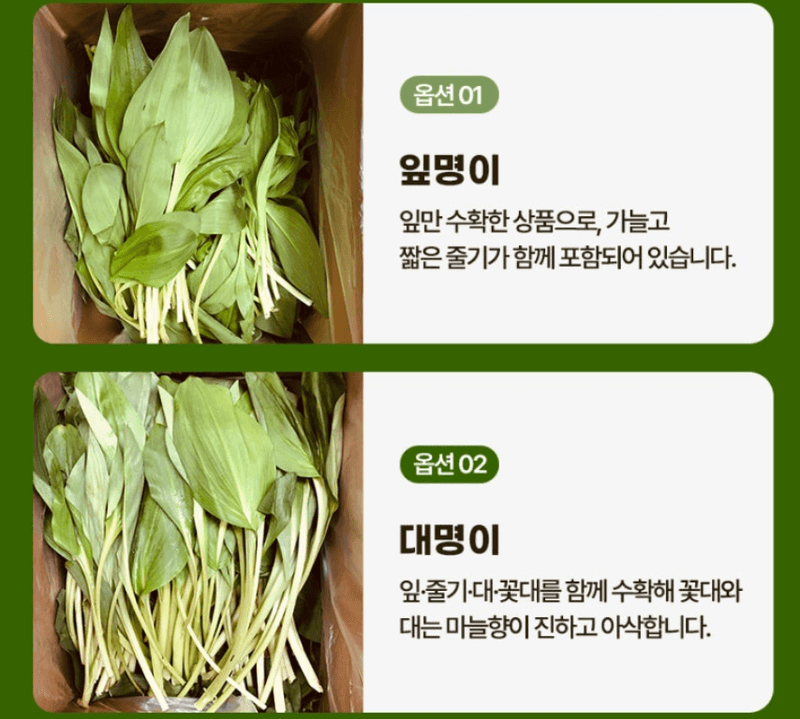 스피드번님의 장터 판매 상품 [명이나물] 첨부 사진