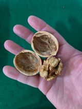 형제들농원님의 자유주제·자유게시판 작성글 사진