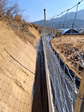 MSG0074님의 자유주제 · 자유게시판 작성글 사진