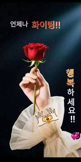 병풍취산채농원님의 작성글 사진