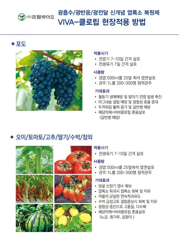 씨앗드림님의 장터 판매 상품 [아미노산 광합성촉진 저온고온염류스트레스 1리터 비바클로립] 첨부 사진