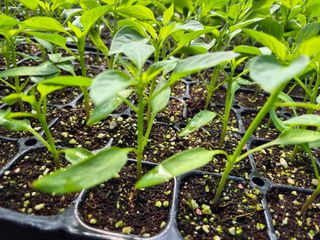 김영진(전남영광)님의 자유주제 · 자유게시판 작성글 사진