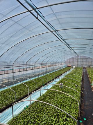 김영진(전남영광)님의 자유주제 · 자유게시판 작성글 사진