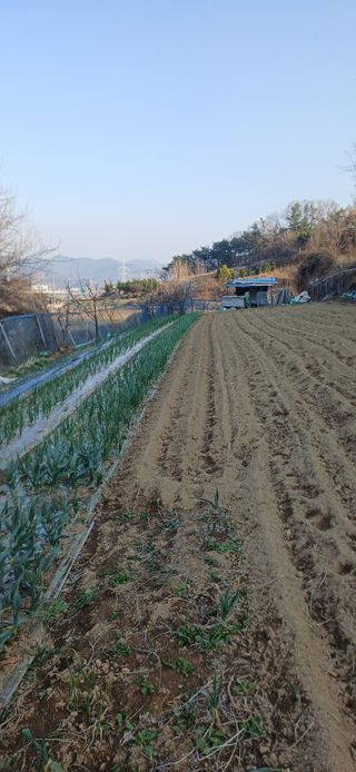 초보퍼머5도2촌준비님의 자유주제 · 자유게시판 작성글 사진