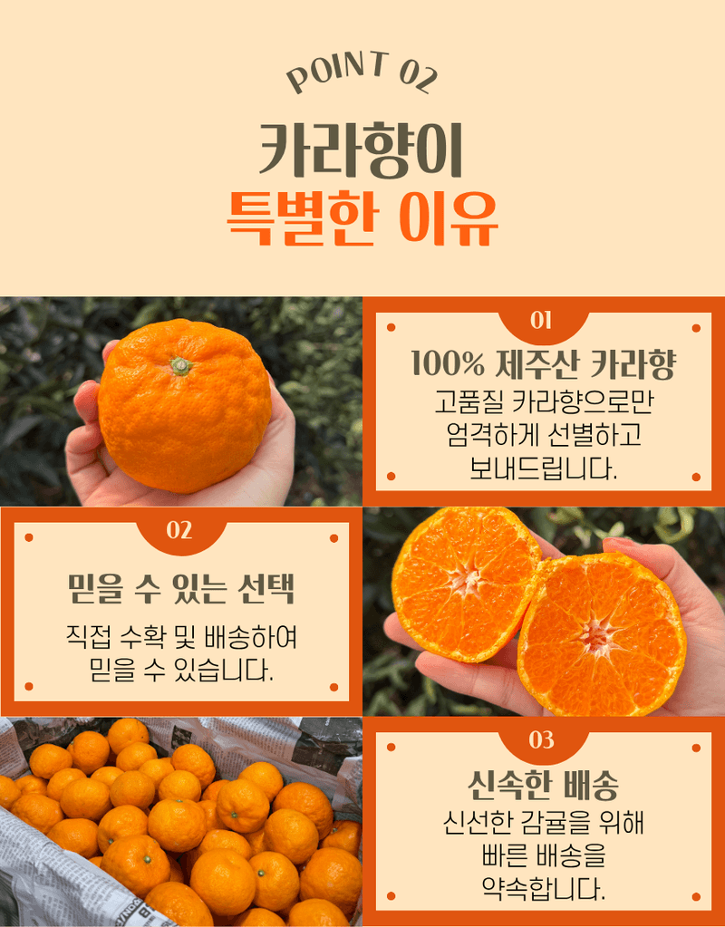 과일팩토리님의 장터 판매 상품 [제주 프리미엄 상큼달콤 카라향 랜덤과/중소과/중과/대과/특대과 2/3/5/10KG ] 첨부 사진