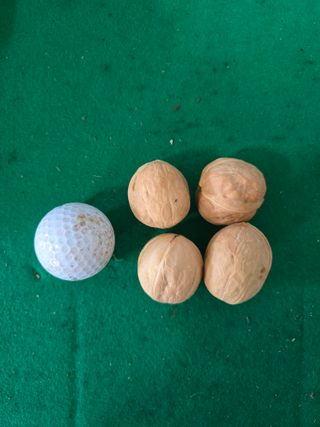 형제들농원님의 자유주제·자유게시판 작성글 사진