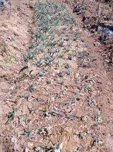 MSG0074님의 자유주제·자유게시판 작성글 사진