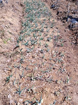 MSG0074님의 자유주제 · 자유게시판 작성글 사진