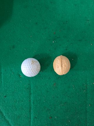 형제들농원님의 자유주제 · 자유게시판 작성글 사진