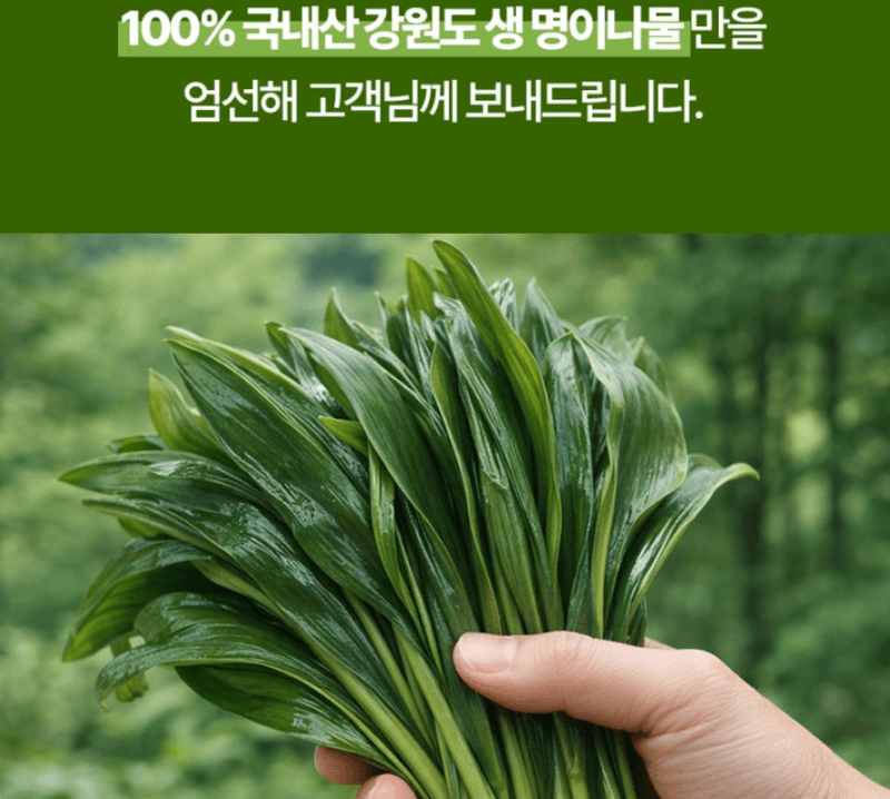 스피드번님의 장터 판매 상품 [명이나물] 첨부 사진