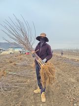 팜모닝 자유주제·자유게시판 게시글 이미지